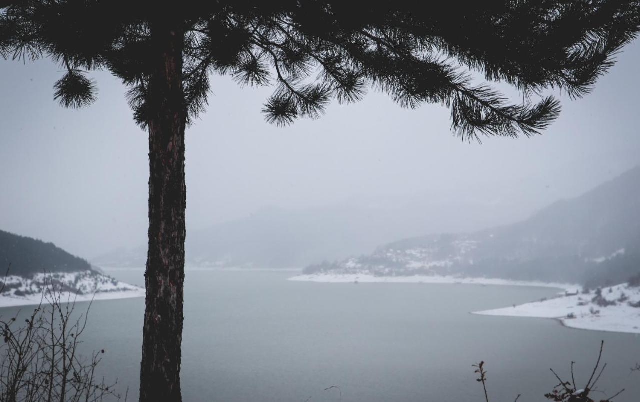 Vila Nemir Zavojsko Jezero Pirot Eksteriør billede